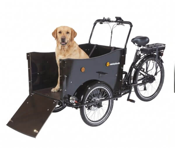 ladcykel med hund