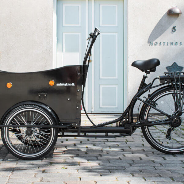 Elladcykel Deluxe Amladcykler